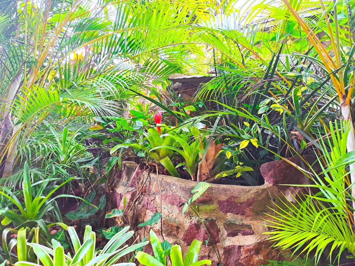 Old Mill Guest House Durban Dış mekan fotoğraf